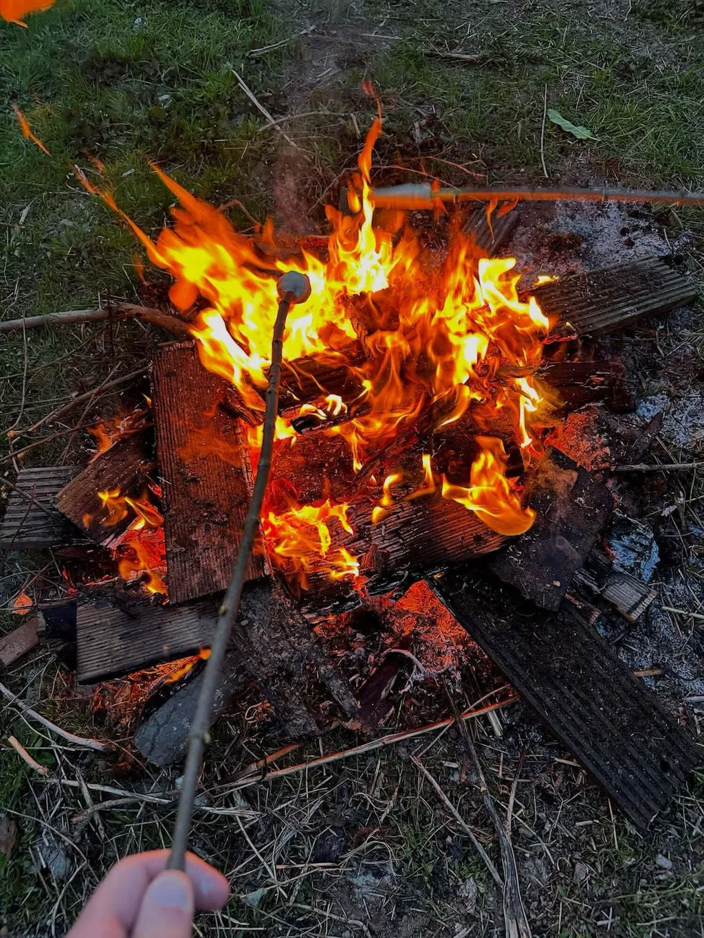 Marshmallow über dem Lagerfeuer rösten