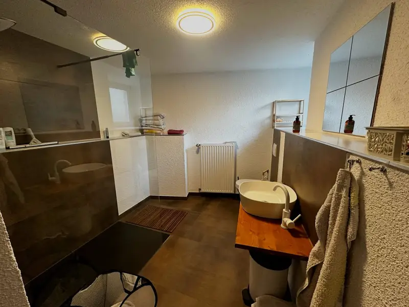Himmelsscheibe bathroom with walk-in shower and washbasin