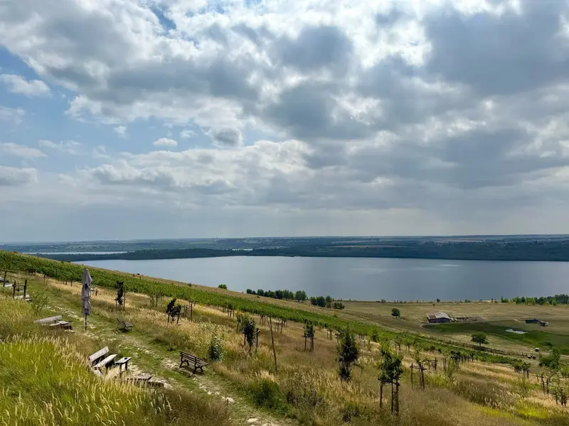 Weinberg-Wanderweg mit Bänken und Seeblick